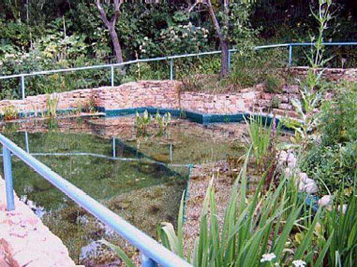 Bild: Mai 2004: Der Teich ist mit Wasser gefüllt