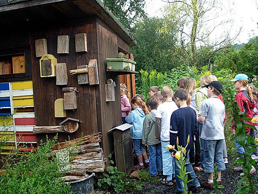 Bild: eine Kindergruppe blickt ins Bienenhaus